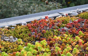 the cost of Haltham green roof installation