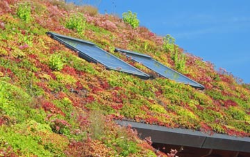 Haltham living roof systems