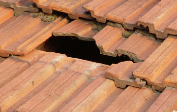 roof repair Haltham, Lincolnshire